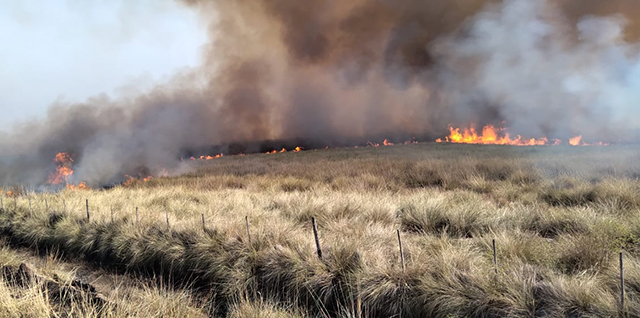 VORAZ INCENDIO ARRASÓ MÁS DE 500 HÉCTAREAS EN LA CAÑADA