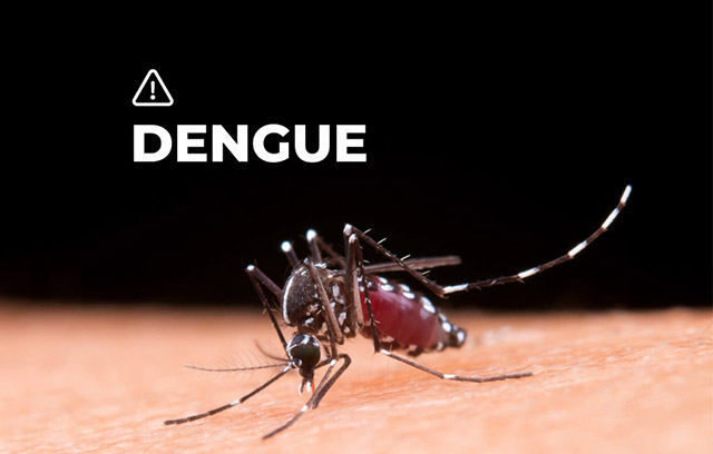 ALERTA: PRIMER CASO DE DENGUE EN DEVOTO